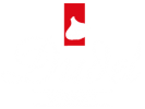 dudel_logo_001.png